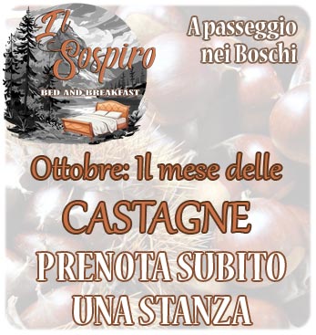 Castagne-in-Basilicata